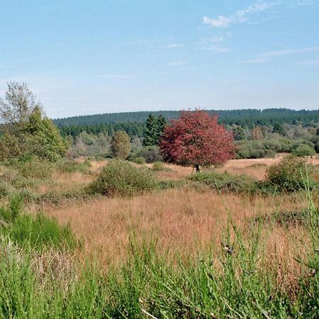 Loeftchen Roetgen Exterior foto